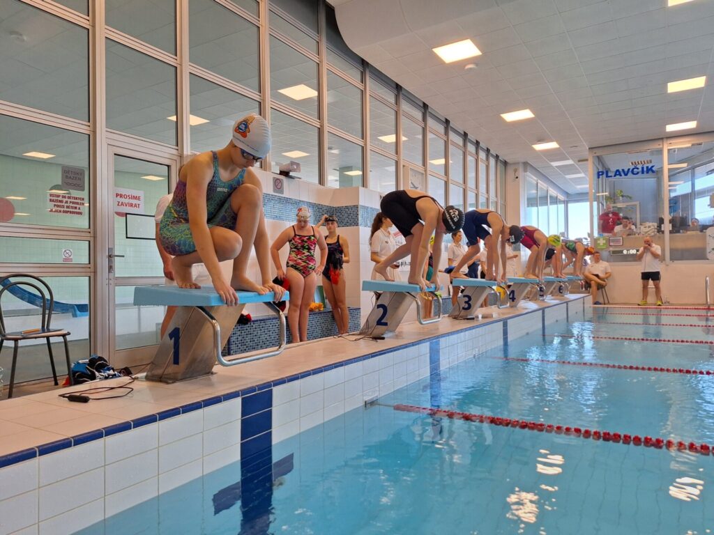 plavecké závody